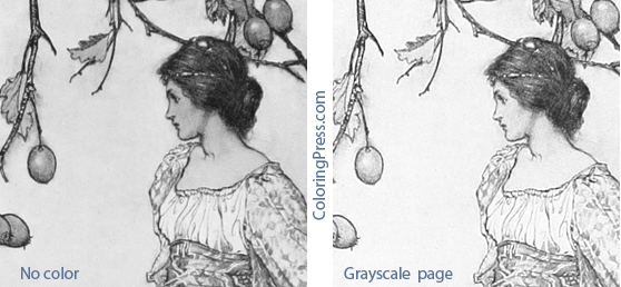 Grayscale Coloring 