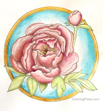 Peony Painted with Paul Rubens Watercolors