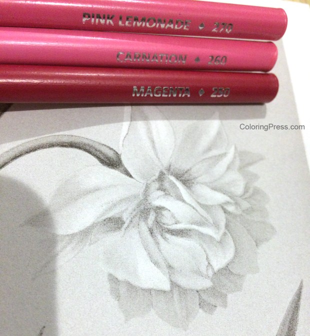 Light Medium Dark - - Grayscale Coloring Tutorial