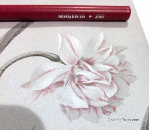 Color in the darks - Grayscale Coloring Tutorial