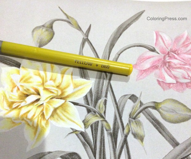 Add a warm color - Grayscale Colroing Tutorial