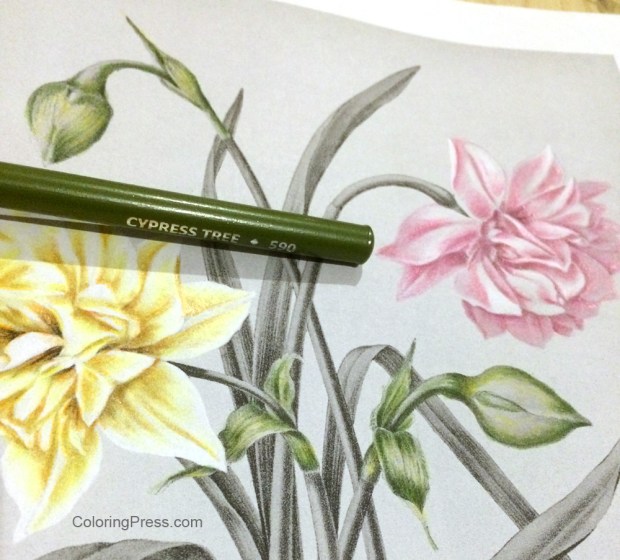 A little more color - Grayscale Coloring How To