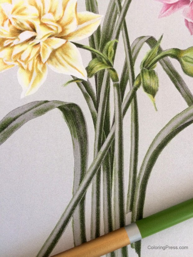 Close Up - How to Color Grayscale