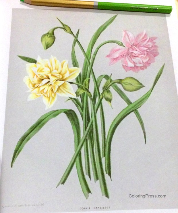 Adding medium to the leaves - Grayscale Coloring How To